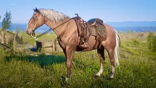 Red Dead Redemption 2: Guaranteed Hungarian Halfbred for Horseman 10 early (location in description)