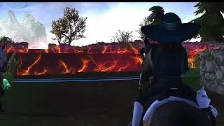 Druid Training glitch (star stable)