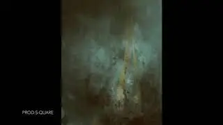 [무료비트]