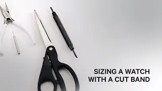 Citizen Watch Sizing — Cut Band