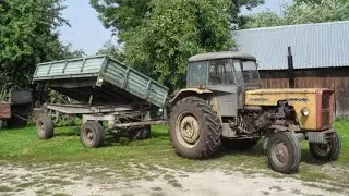 Stara Gwardia - PawNic14