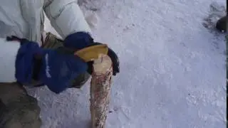 Frozen Banana in Oymyakon