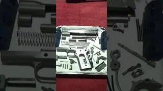 BRAND NEW COLT GOLD CUP goes in FOR surgery!