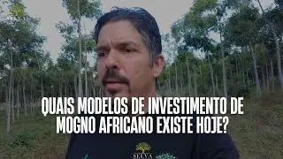 QUAIS MODELOS DE INVESTIMENTO AFRICANO EXISTE HOJE