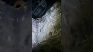 A CRIATURA APARECEU NA LENDA DO RENATO GARCIA CA&Ccedil;ADORES DE LENDAS 🙏👏