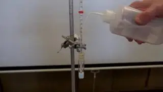 Endothermic and Exothermic Dissolution Reactions
