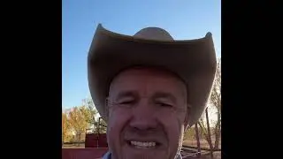 Shipping calves   Full video Sunday #ranching #cold
