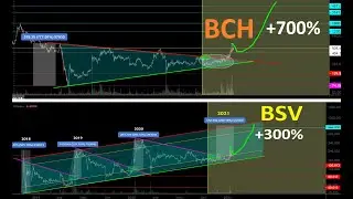 Биткоин Кеш BCH повторит памп биткоина? Работа на BCH, BSV, BTG