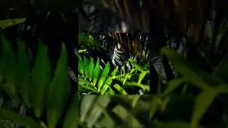 INDOMINUS REX HUNTING SCEANE - JURASSIC WORLD #shortvideo #jurassicworld #indominusrex #dinosaur