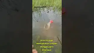 Alat pancing baru #shortvideo
