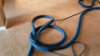 Man vs Dirty carpets Episodes 36: Cleaning carpets full of SPOTS not STAINS