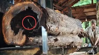 The most stubborn operator!! No one dares to saw this hollow wood