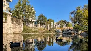 Disneyland | Ducks of Fantasyland  | 4K | October 2023 | Google Pixel 8 Pro
