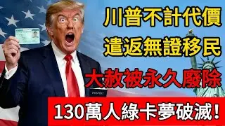 不計代價，遣返無證移民！“大赦”被永久廢除！130萬人綠卡夢破滅！#移民 #移民經歷 #美国 #美国政治 #绿卡