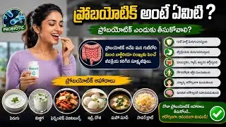 Probiotics Benefits | Natural Foods for Gut Health & Immunity