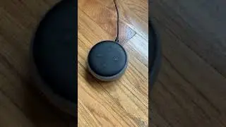 How to Use the Echo Dot for Alarms (Voice Commands)