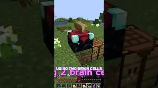 Grapeapplesauce has two brain cells