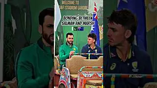Salman Agha With Aussie Captain Mitch Marsh #shorts #cricket #salmanaliagha #babarazam
