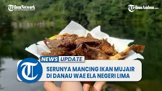 Serunya Mancing Ikan Mujair di Danau Wae Ela Negeri Lima, Begitu Ditangkap Langsung Digoreng