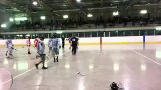Niagara Thunderhawks Jr B  lacrosse fight