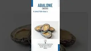 Abalone | Oxford English Dictionary