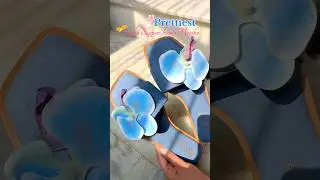 Meesho Cute slippers✨ #ytshorts #meesho #meeshofinds #footwear #flats #viral #shorts #trending