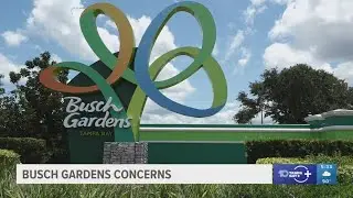 Social Media meet-up chatter prompts Busch Gardens Safety Concerns