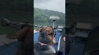 My fishing partner 😍 #trending #viral #foryou #fyp #shorts #fishing #bass #germanshepherd #bestie