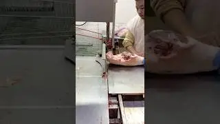 Frozen Leg Mutton Goat Meat Cutting Skills Machine Export Man#shorts