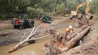 USACE Dry Creek Reach 15 Restoration Project