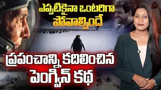 VIRAL PENGUIN🐧Full Story Explained | Depressed Penguin Story | Praja Ratham TV