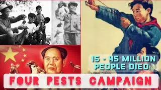 Four Pests Campaign | China's Great Famine | Smash Sparrows Campaign