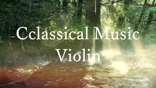 🎻 心を落ち着かせるやさしい旋律 | クラシック・ヴァイオリン✨ヒーリング・ミュージック