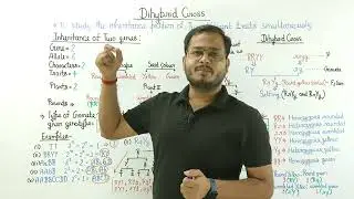 Dihybrid Cross Full Explanation | Boards + NEET l 9:3:3:1 Ratio Explained #neet #neet2026 #12th 
