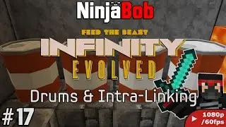 Minecraft: FTB Infinity Evolved [#17] 