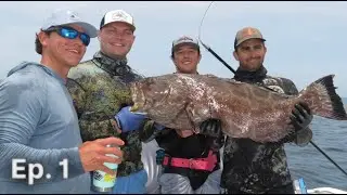 Spearfishing Bahamas Grand Cay (BIG BLACK GROUPERS!!!)