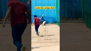 Learn sweep shot #cricket #battingtips #sweepshot #battingbasics #cricketpractice #ytshorts