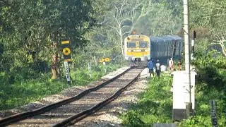 Beautiful DEMU Train in Heaven Dooars! Bamanhat-Siliguri DEMU Special in MPS
