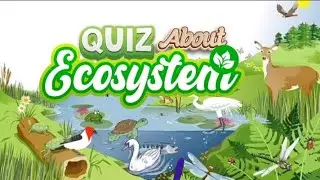 QUIZ ABOUT ECOSYSTEM