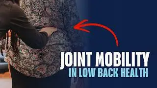 The Role of Joint mobility in low back health | The Stretch Method Explained!