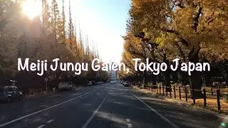 Meiji Jungu Gaien, Tokyo Japan