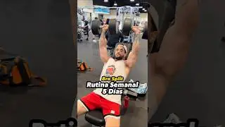 Bro Split - Rutina Semanal para 5 D&iacute;as (Principiantes)