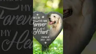 Custom Garden Stake- Pet Memorial Gift For Dog, Cat - Hearts Hold Eternal Memories - TKN-HA0545 V1.2
