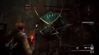 Remnant from the Ashes - Boss Ixillis XV Solo