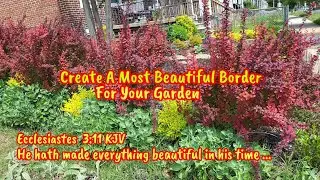 Plant Orange Rocket Barberry and Sunshine Ligustrum for a Vibrant Border