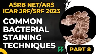 COMMON BACTERIAL STAINING TECHNIQUES | PART 8 | ASRB NET, ICAR JRF/SRF, CSIR NET LIFE SCIENCE 2023