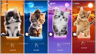 TILES HOP  BONGO CUTE CATS BATTLE &bull;|&bull; Bloody Mary &bull;|&bull; Enemy 🆚 Unstopable &bull;|&bull; Wolve