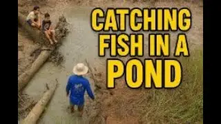 CATCHING FISH IN A POND I #Fishing #CastNet #FishingTips #FishingLife #CatchFish