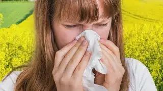 What is Cedar Fever?