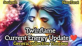 Twin Flame Current Energy Update ❤️ | DM DF Feelings | Timeless General Reading